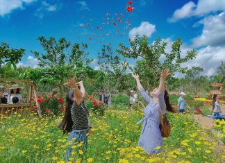 4 điểm đến Phú Yên khiến du khách “đứng ngồi không yên”