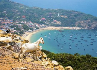 Bạn đã có kinh nghiệm du lịch Bình Ba cho riêng mình