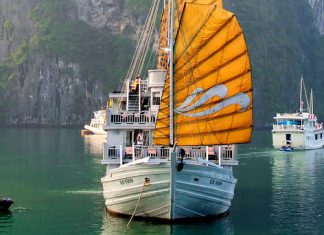 Làm gì, ăn gì khi đi du lịch Hạ Long 1 ngày?