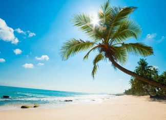 Những điều cần biết khi đi du lịch Nam Du tự túc