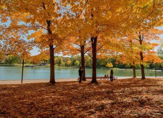 Tham khảo kinh nghiệm du lịch Canada mùa thu ngập sắc vàng lá phong