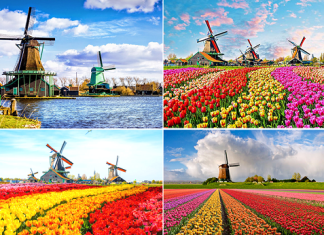 Du lịch Hà Lan tết tham quan Pháo đài lớn nhất Hà Lan