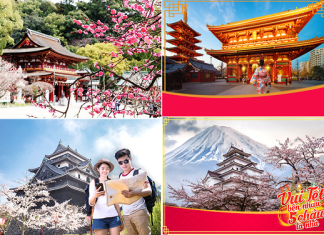 Du lịch Nhật Bản tết nguyên đán 2023 trải nghiệm trọn vẹn vẻ đẹp hoàn mĩ của “xứ sở hoa anh đào”