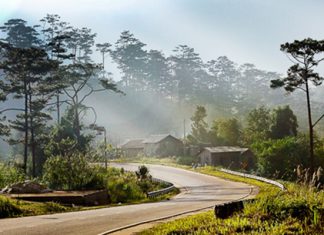 Du lịch Đà Lạt mùa hè tự túc có điều gì thú vị hấp dẫn du khách Du lịch Đà Lạt mùa hè tự túc có điều gì thú vị hấp dẫn du khách