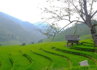 Du lịch Sapa: ngẩn ngơ trước vẻ đẹp mộc mạc & yên bình của Nậm Cang Du lịch Sapa: ngẩn ngơ trước vẻ đẹp mộc mạc & yên bình của Nậm Cang