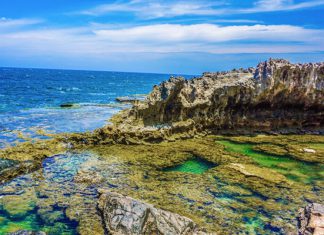 Chia sẻ bí kíp du lịch Hang Rái Ninh Thuận tất tật tật từ A – Z Chia sẻ bí kíp du lịch Hang Rái Ninh Thuận tất tật tật từ A - Z