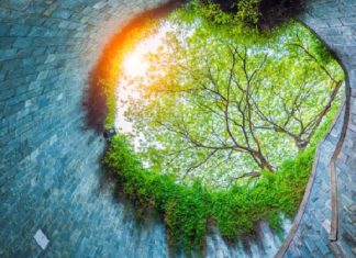 Check in top 10 địa điểm du lịch Singapore mùa hè không thể bỏ lỡ Check in top 10 địa điểm du lịch Singapore mùa hè không thể bỏ lỡ