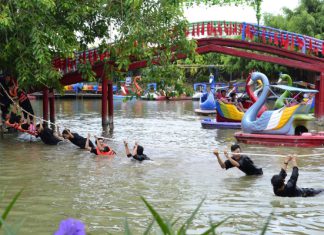 Khám phá hoạt động thú vị tại khu du lịch Vinh Sang Thúy Liễu – Vĩnh Long Khám phá hoạt động thú vị tại khu du lịch Vinh Sang Thúy Liễu - Vĩnh Long